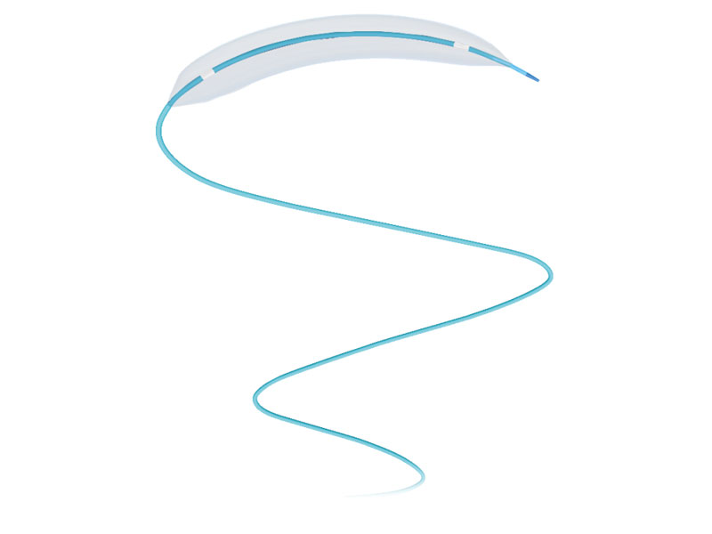 Selethru® PTCA Balloon Dilatation Catheter